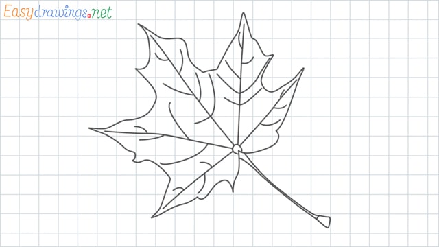 Fall leaf grid line drawing