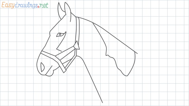 Horse head grid line drawing
