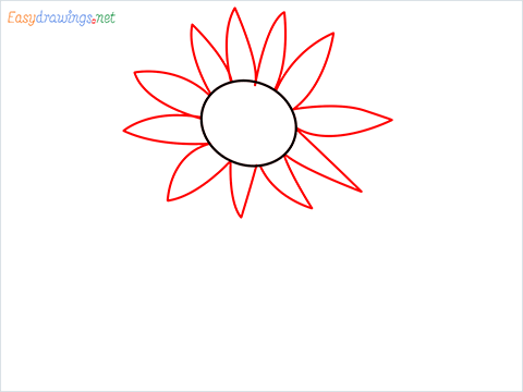 How To Draw A Easy Sunflower Step (2)
