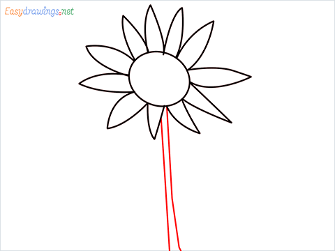 How To Draw A Easy Sunflower Step (3)