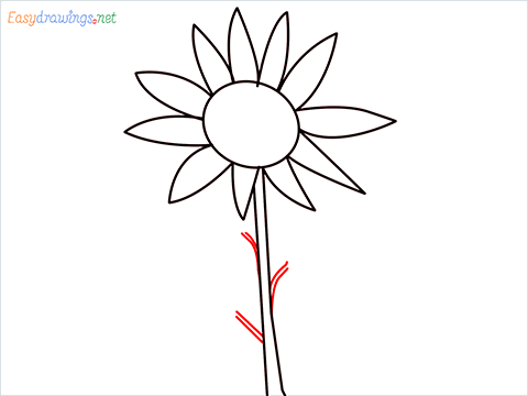 How To Draw A Easy Sunflower Step (4)