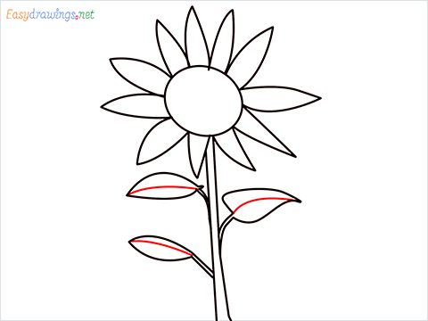How To Draw A Easy Sunflower Step (6)