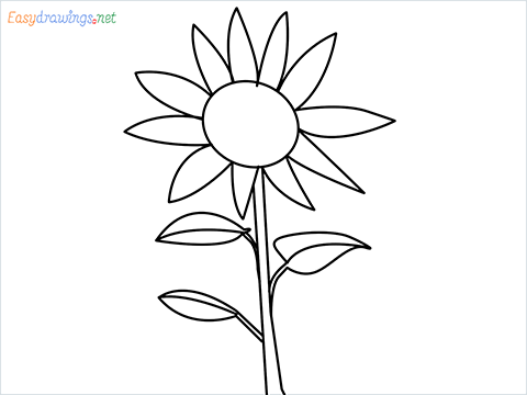 How To Draw A Easy Sunflower Step by Step for Beginners