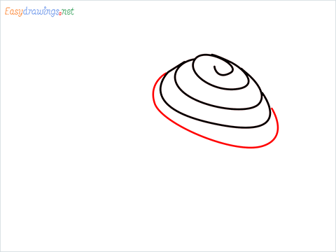 How To Draw Snail Step (4)