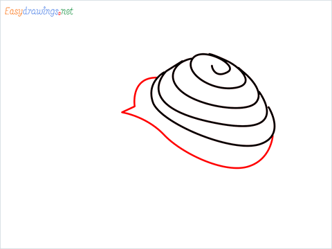 How To Draw Snail Step (5)