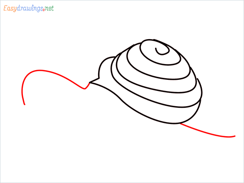How To Draw Snail Step (6)