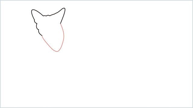 how to draw a coyote step (3)