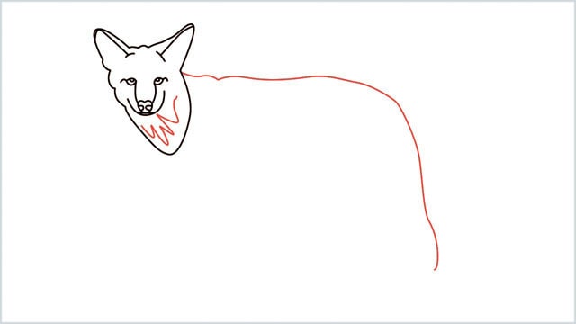 how to draw a coyote step (8)