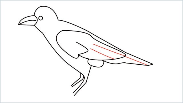 how to draw a crow step (11)