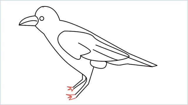 how to draw a crow step (12)