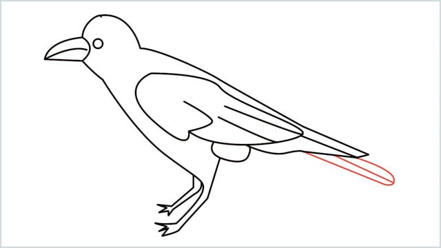 how to draw a crow step (13)