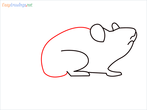 how to draw a cute mouse step (5)