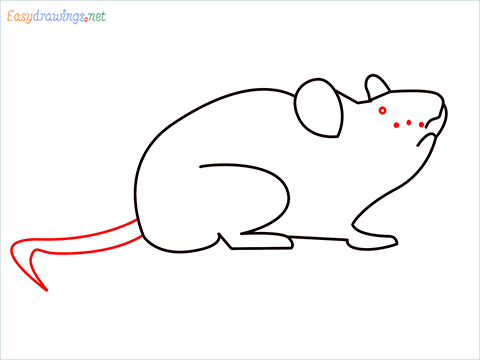 how to draw a cute mouse step (6)