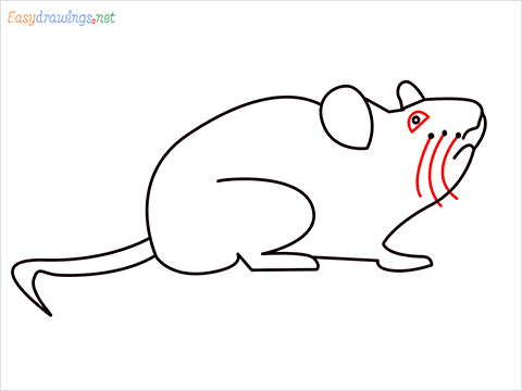 how to draw a cute mouse step (7)
