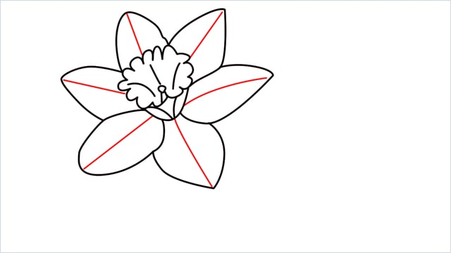 how to draw a easy daffodil step (10)