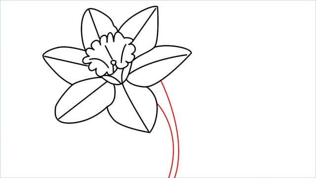 how to draw a easy daffodil step (11)