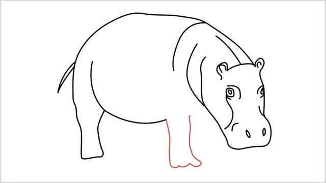 how to draw a hippo step (10)