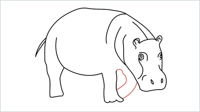 how to draw a hippo step (11)
