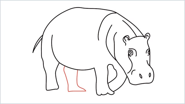 how to draw a hippo step (12)
