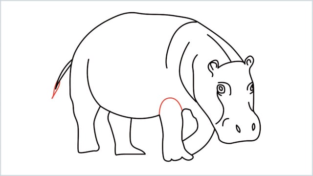 how to draw a hippo step (13)