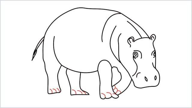 how to draw a hippo step (14)