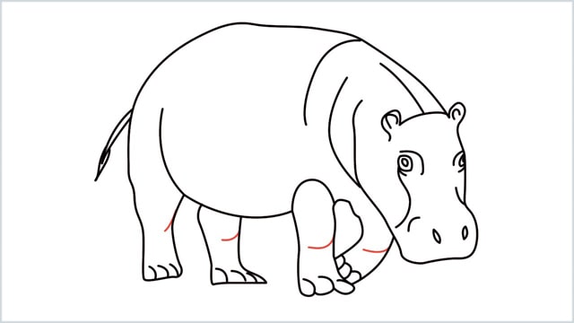 how to draw a hippo step (15)