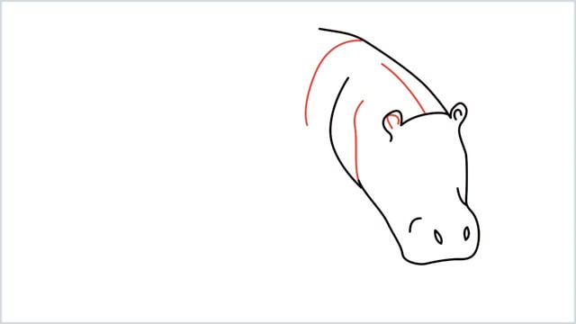 how to draw a hippo step (4)