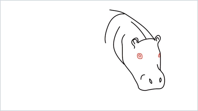 how to draw a hippo step (5)