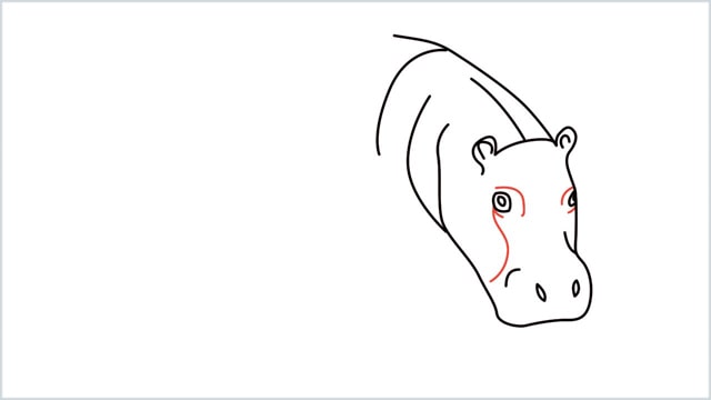 how to draw a hippo step (6)