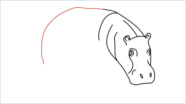 how to draw a hippo step (7)