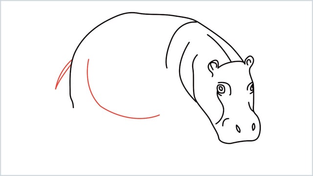 how to draw a hippo step (8)