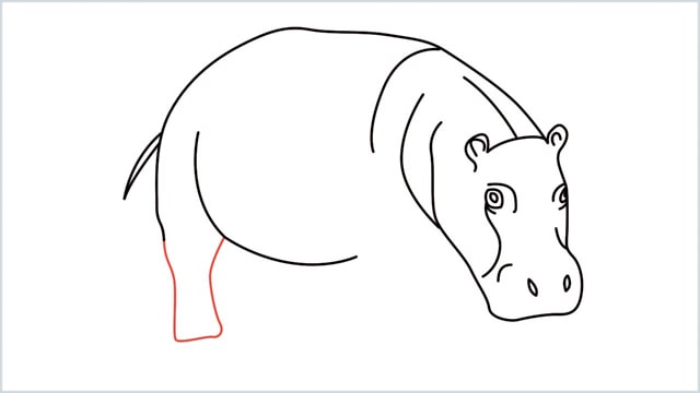 how to draw a hippo step (9)
