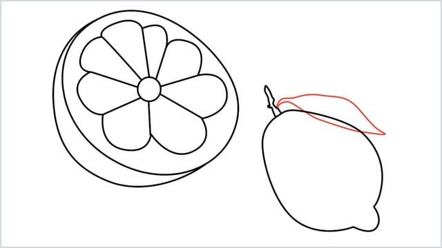 how to draw a lemon step (9)
