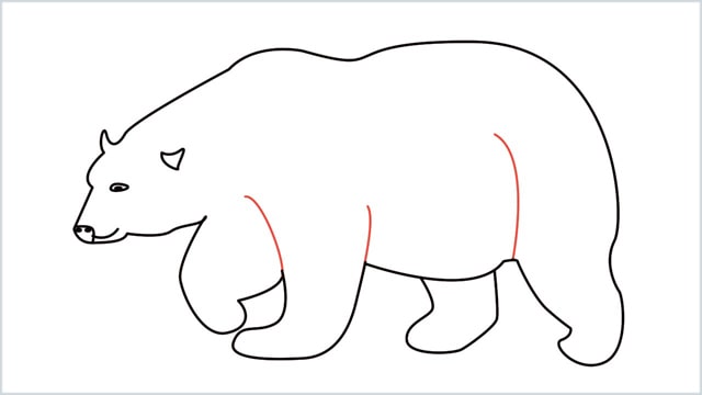how to draw a polar bear step (10)