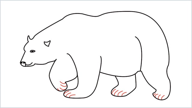 how to draw a polar bear step (11)