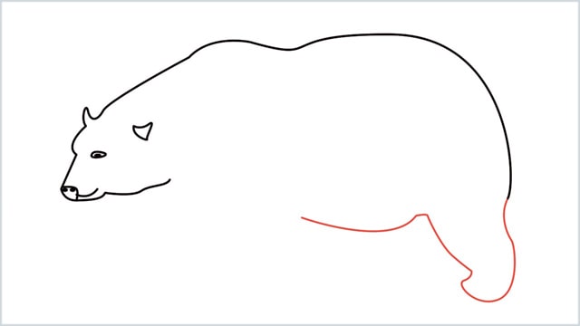 how to draw a polar bear step (6)