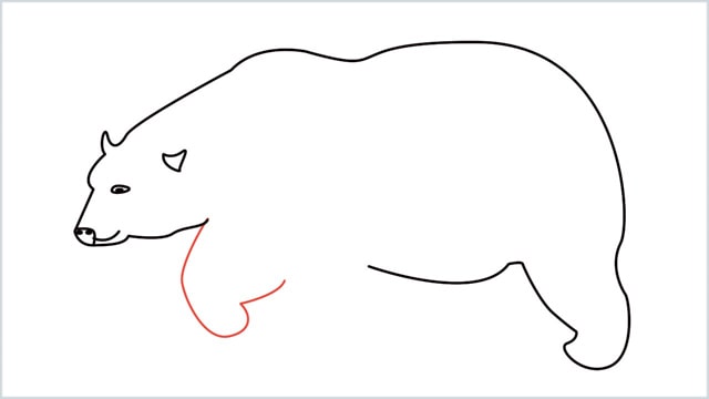 how to draw a polar bear step (7)