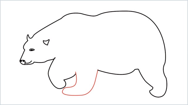 how to draw a polar bear step (8)