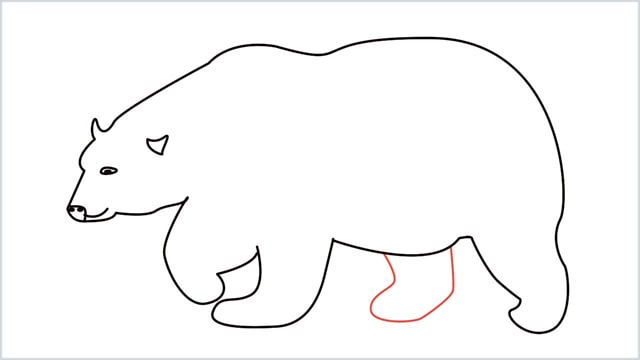 how to draw a polar bear step (9)