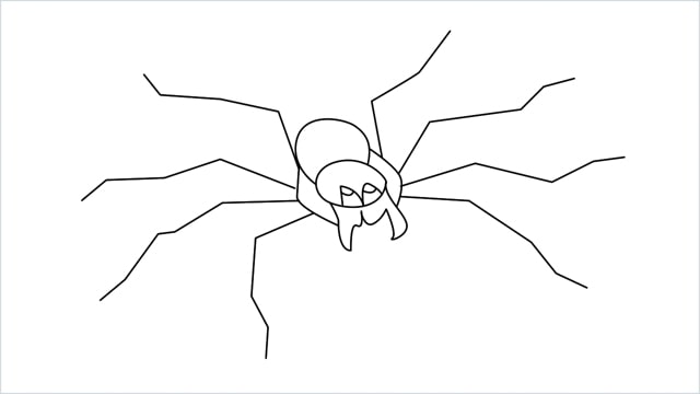 how to draw a spider