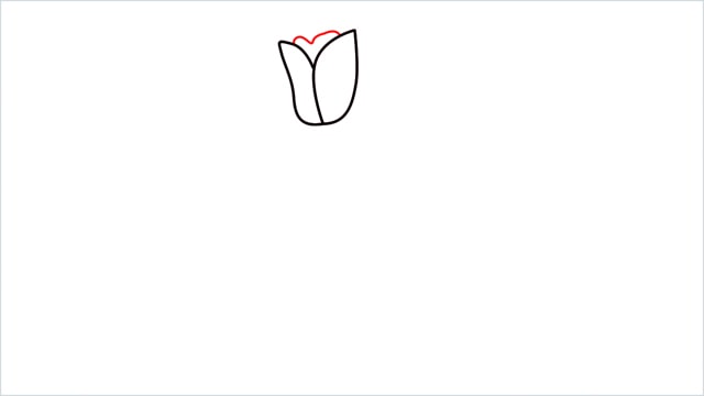 how to draw a tulip flower step (4)