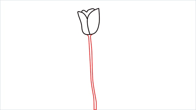 how to draw a tulip flower step (5)