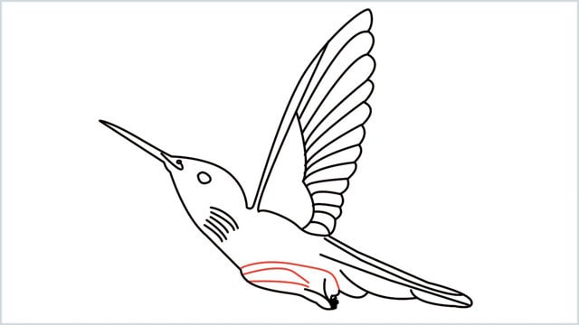 how to draw hummingbird step (12)
