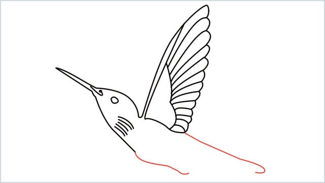 how to draw hummingbird step (8)