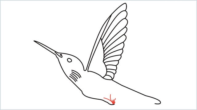 how to draw hummingbird step (9)