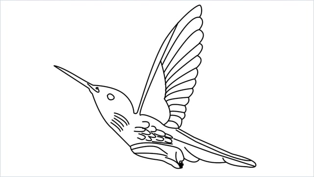how to draw hummingbird