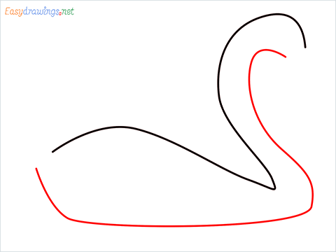 How To Draw A Beautiful Swan Step (2)
