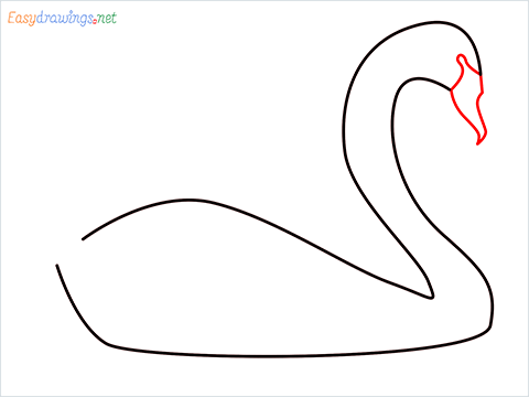 How To Draw A Beautiful Swan Step (3)