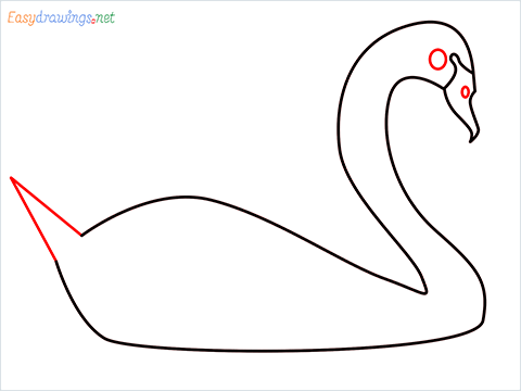 How To Draw A Beautiful Swan Step (4)