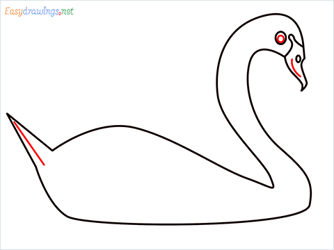 How To Draw A Beautiful Swan Step (5)